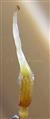  Pistil